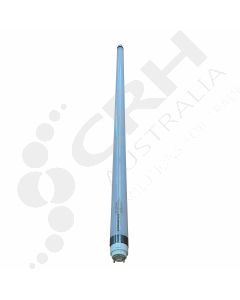 ELL11629