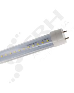 CF004