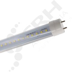 CF004